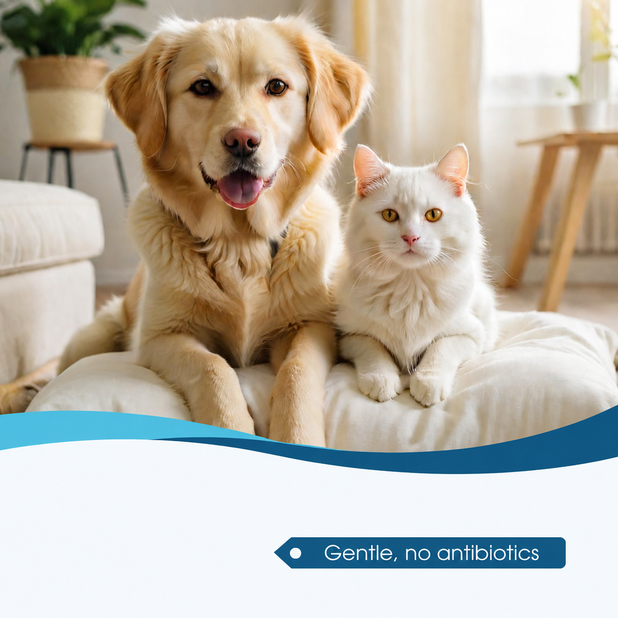 🐶🐱 Ear cleaner | Soothes itchy ears👂