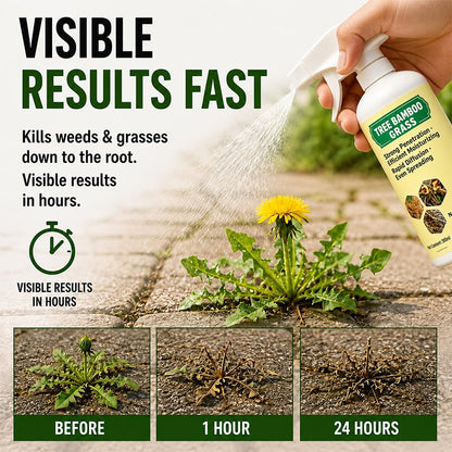 Weed Killer Herbicide Spray 🌿